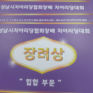 폼보드피켓